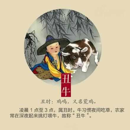 志在千里打一准确生肖全面释义、定量解答解释落实