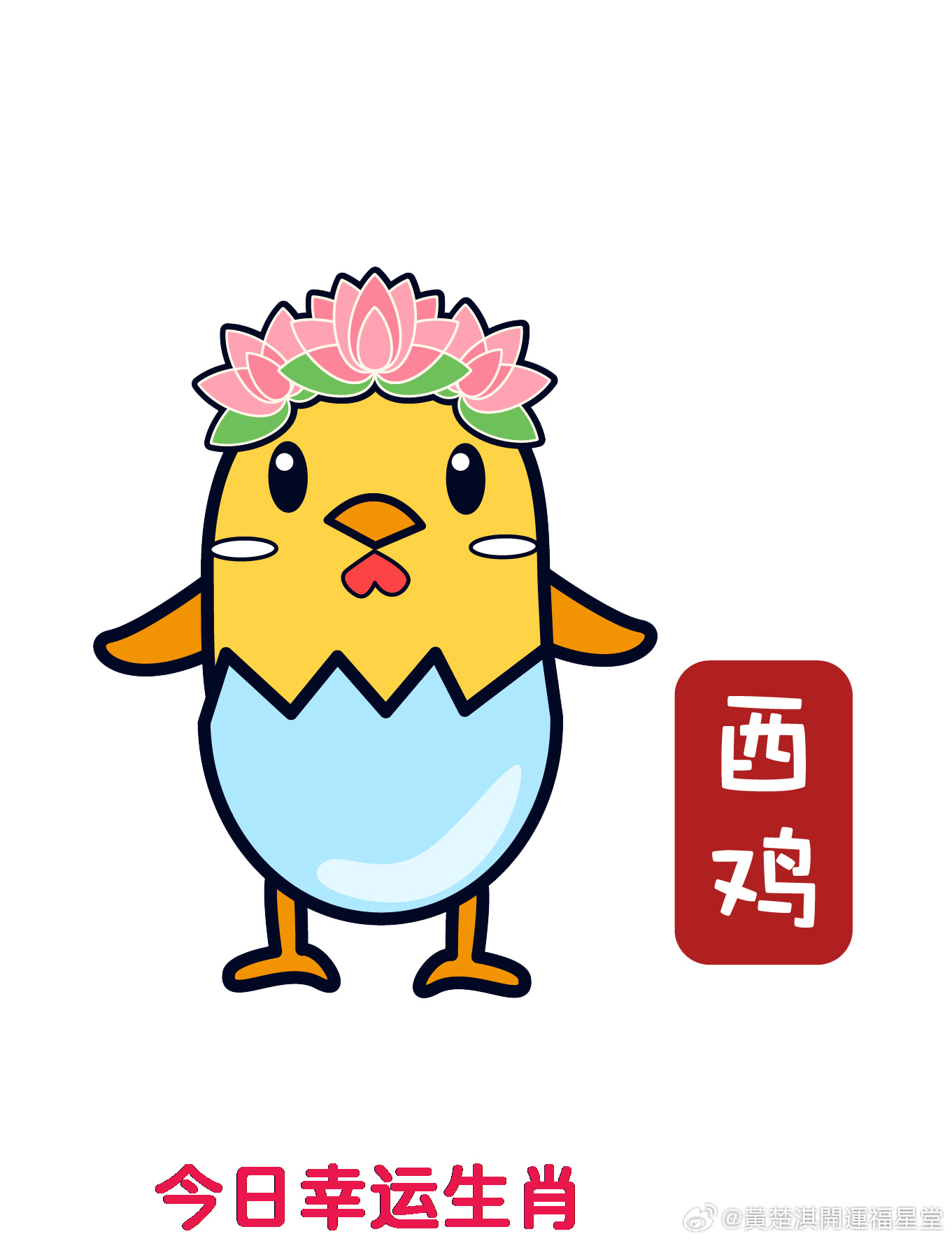 山南海北闯一闯打一正确生肖的警惕虚假宣传-定量解答解释落实