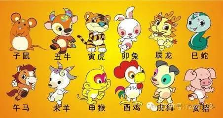 山南海北闯一闯打一正确生肖的警惕虚假宣传-定量解答解释落实